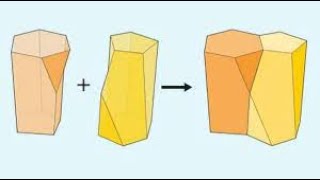 Scutoid