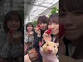 2023.04.05 荒井優希 さんのストーリーより。 北野瑠華 さん 青木詩織 さんと いちご狩り🍓