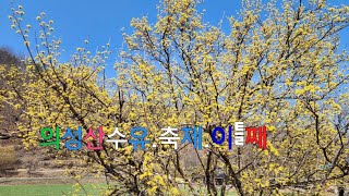 품바싱어,설녹수.스트리밍, 실방,라이브,^^    의성산수유,축제💐(23/3/19일 펌프\u0026펌핑)[설녹수tv]