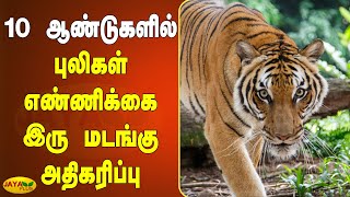 10 ஆண்டுகளில் புலிகள் எண்ணிக்கை இரு மடங்கு அதிகரிப்பு |  Tiger Sanctuary | Tigers Count Increased