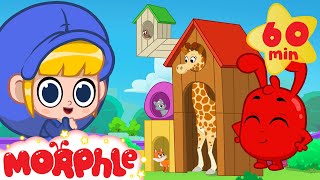 A House for the Giraffe! | Morphle | Animals for Kids | Animal Cartoons | @Morphle