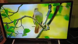 【全新官網免運】台灣工藝HAOTV 42吋 超薄鋁合金液晶電視1080P HDMI/顯示器/IPS面板A42H1#台中二手家電 #收購 #寄賣  #二手電視 #中古電視 #台中二手店 #4K