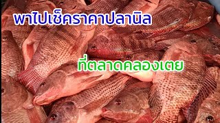 พาไปเช็คราคาปลานิล ที่ตลาดคลองเตย ร้านนี้ขายถูกแม่ค้าน่ารัก