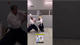 AIKIDO MARTIAL DEFENSE MOVES AND TECHNIQUES #shorts