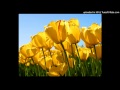 Download The Jayhawks Save It For A Rainy Day MP3JUICESCOM mp3