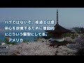 日本人はまともすぎる... 韓国や中国に比べ日本ではなぜキリスト教の布教に失敗したのか？（海外の反応）bluenote