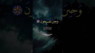 Beautiful Recitation Tilawat Quran best Voice by Male / Boy Voice Heart Touching Soothing Quran