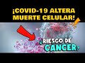 ¡CUIDADO! COVID-19 ALTERARÍA MUERTE CELULAR ¿RIESGO DE OTRA COMPLICACIONES? ¿CÁNCER?