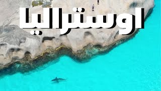 من أجمل شواطئ العالم في اوستراليا #سفر 🇦🇺🌊