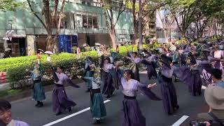 早稲田大学よさこいチーム東京花火『天つかさ』／原宿表参道元氣祭スーパーよさこい2024【2日目】（202408/25）@表参道アヴェニュー