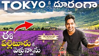 Tokyo to Village: My Unbelievable Journey to Find Peace | Telugu Traveller