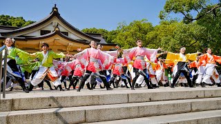 静岡大学よさこいサークルお茶ノ子祭々　神戸アライブ 2014  2日目　～ KOBE ALIVE  神戸新舞 ～