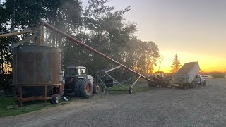 Oat harvest 2021, Northern Alberta