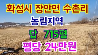 화성시 장안면 수촌리 6미터 도로접한 농림지역 답 715평