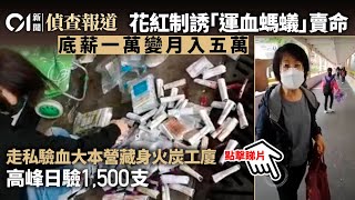 運血螞蟻直擊・3｜操控診所、化驗所　水貨客羅湖取血　日驗800支｜01偵查