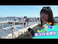 klook 澎湖花火節｜三天兩夜這樣玩