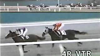 競馬 450万下トロットサンダー