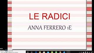 LE RADICI