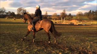 Carramore Boy : Lucinda Green Clinic : Littleton Manor 25.02.16