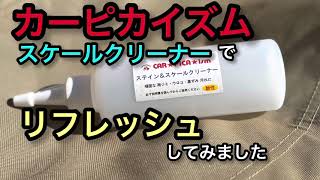 カーピカイズムのスケール除去剤で、リフレッシュ