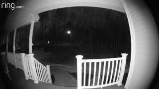 Easter bunny caught on camera