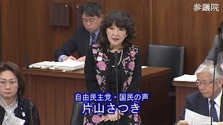 参議院 2020年03月26日 厚生労働委員会 #02 片山さつき（自由民主党・国民の声）