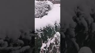 英国利兹下雪