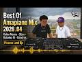 Best Of Amapiano Mix 2026 .04 | Kelvin Momo • Stixx • Babalwa M • Bandros  | Picasso Land Djz