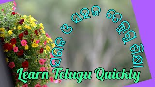 Easy way to learn Telugu, ସରଳ ଓ ସହଜ ତେଲୁଗୁ ଶିକ୍ଷା