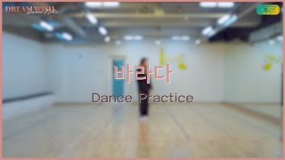 [Dream Note] 'WISH' Dance Practice