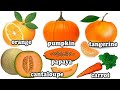 Orange Fruits and Vegetables | 橙色的水果和蔬菜