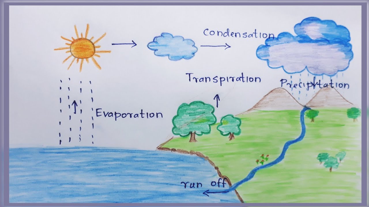 How To Define The Word Hydrological Cycle ? || Hydrological Cycle ...