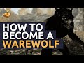 Skyrim Walkthrough - How to Become a Werewolf Skyrim Walkthrough - How to Become a Werewolf