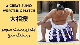 Inside the Ring: Exploring the World of Sumo Wrestling