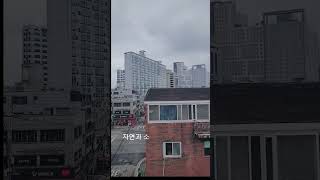 옥상 텃밭 시작합니다.