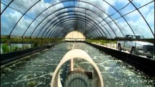 A World Without Fish - Part 2
