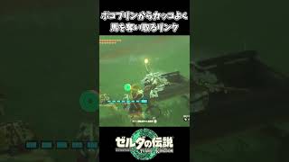 【ティアキン】ボコブリンからカッコよく馬を奪い取るリンク【ゼルダの伝説 ティアーズ オブ ザ キングダム】