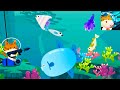 The Fishercat - Cat Catches Fish ! Large fish Coral Reefs / Game for Kids