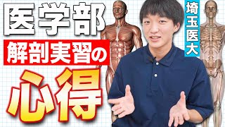 医学部生が解剖学実習のリアルをお伝えします。