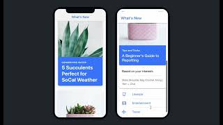 Ionic UI Components: Card