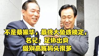 不是蔡振华，最终大鱼或锁定，名记：足协出身，级别高陈码头很多