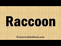 How to Pronounce Raccoon