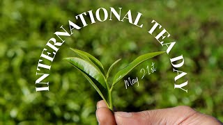 International Tea Day 2023