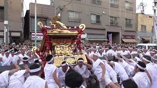 素盞雄神社　天王祭　本社神輿の宮入り道中 \u0026 宮入り　2015年   portable shrine ( Susanoo shrine, Arakawa \u0026 Taito,Tokyo )