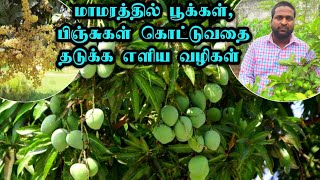 மரத்தில் பூக்கள் பிஞ்சுகள் கொட்டுவதை தடுக்கும் எளிய வழி/simple way prevent pinches falling flowers