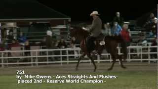 AVA 2012 Missouri Foxtrotter 3 Years World Championship