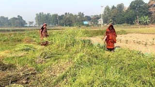 আমরা গ্রামের সাধারন মানুষ 🙏 আজ বাবার ইচ্ছায় রান্না হল