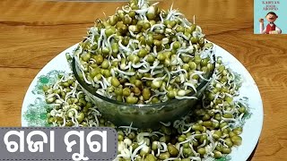 କେମିତି ବନେଇବା ଗଜା ମୁଗ | how to make gaja muga  | Gaja muga recipe in odia