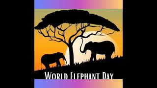 WORLD ELEPHANT DAY