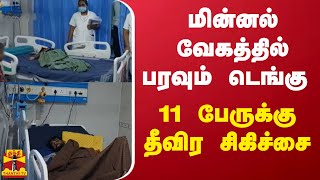 மின்னல் வேகத்தில் பரவும் டெங்கு - 11 பேருக்கு தீவிர சிகிச்சை